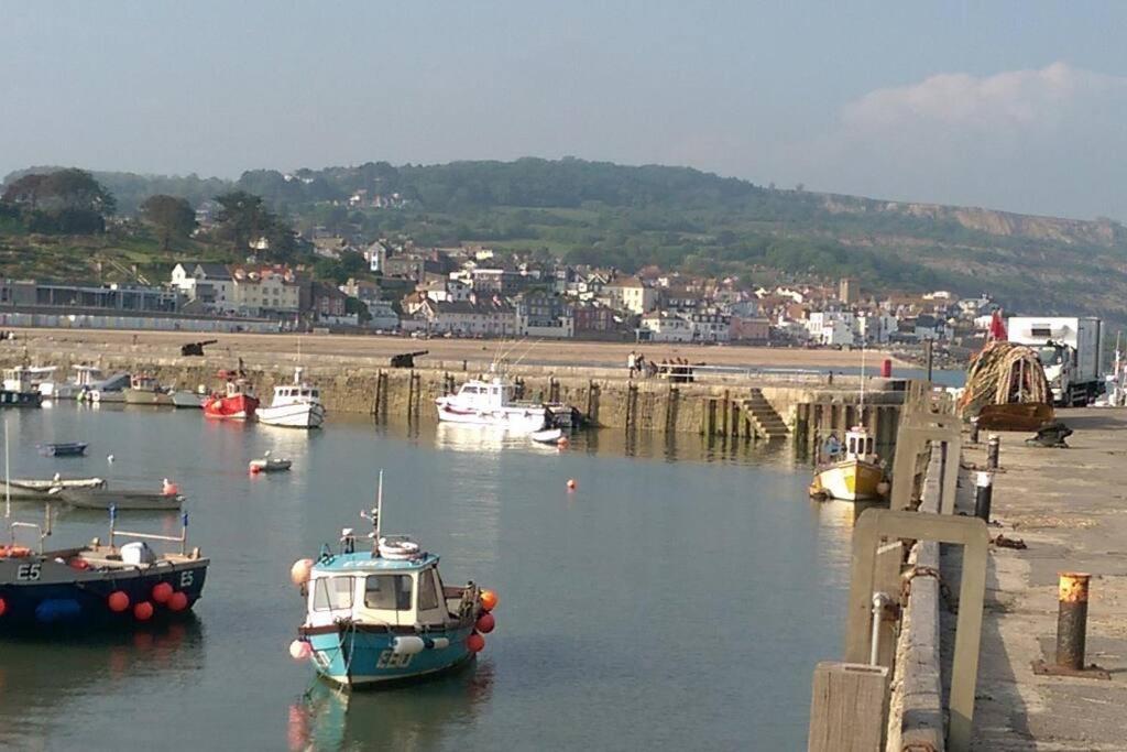 Private Apartment, Parking, Sea And Country Views Lyme Regis Exterior photo